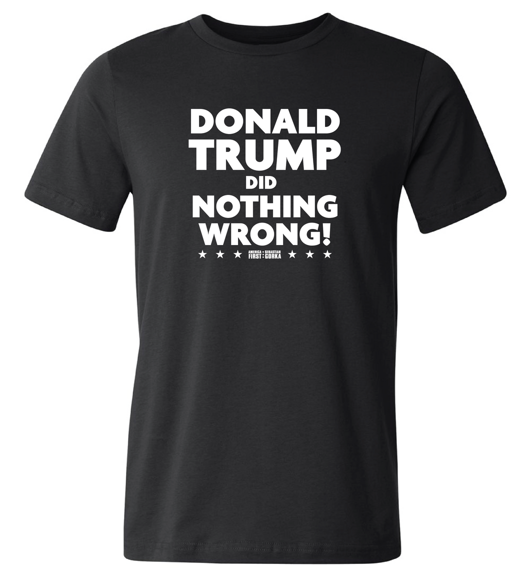 TRUMP Did Nothing Wrong T-Shirt